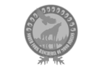 logos20